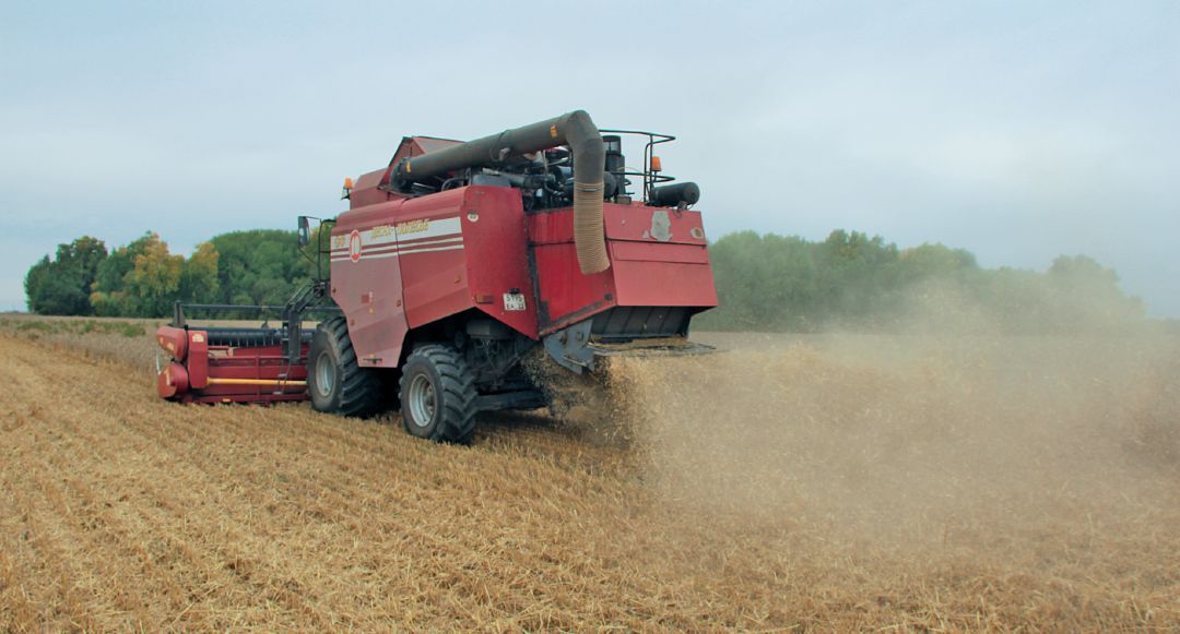 Уборка пшеницы, посеянной по No-till Уборка пшеницы, посеянной по No-till