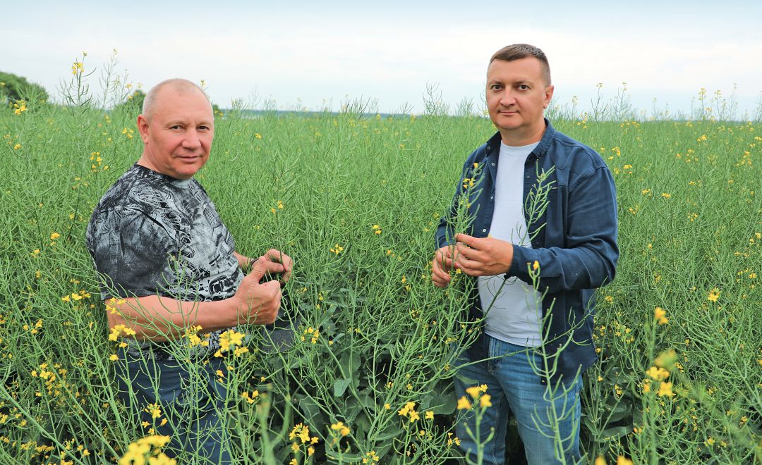 И. Драп и Е. Сопин в посевах озимого рапса И. Драп и Е. Сопин в посевах озимого рапса