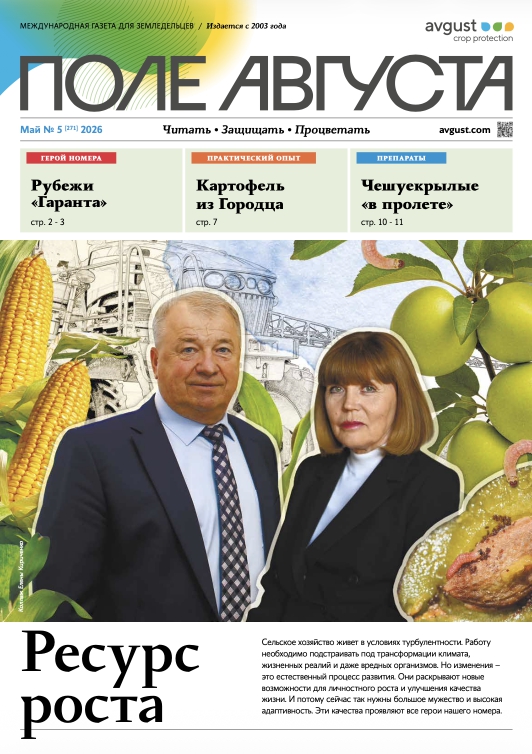 Газета «Поле Августа»