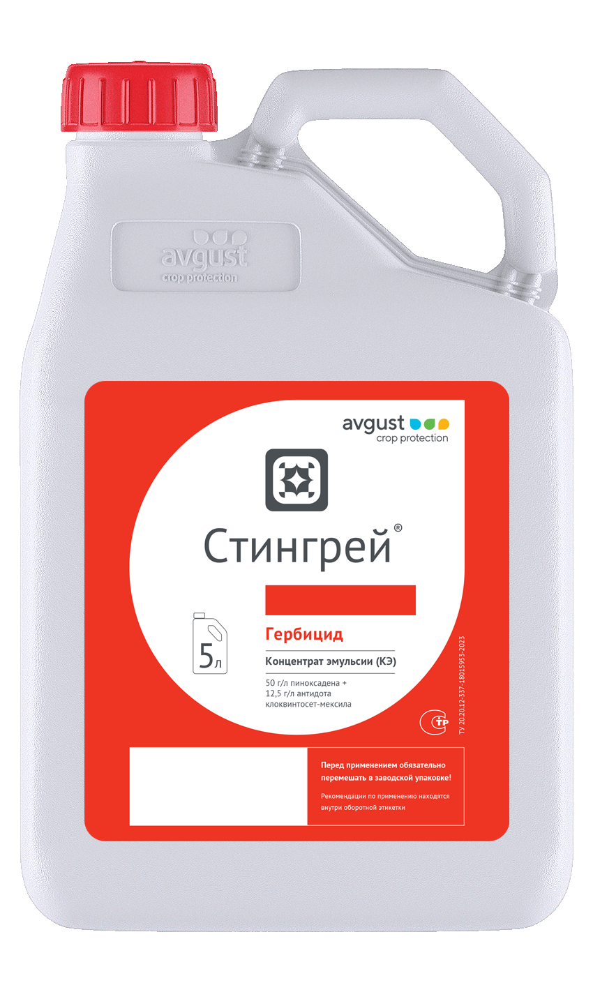 Стингрей
