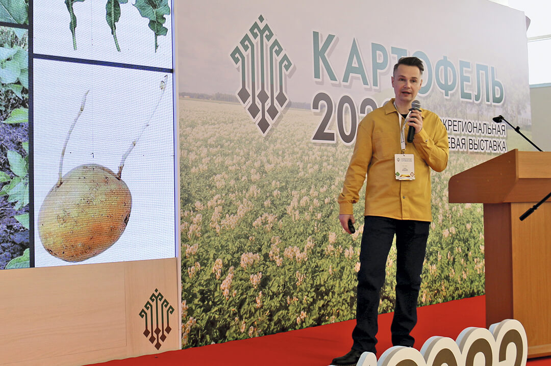 Что&nbsp;угрожает картофелю