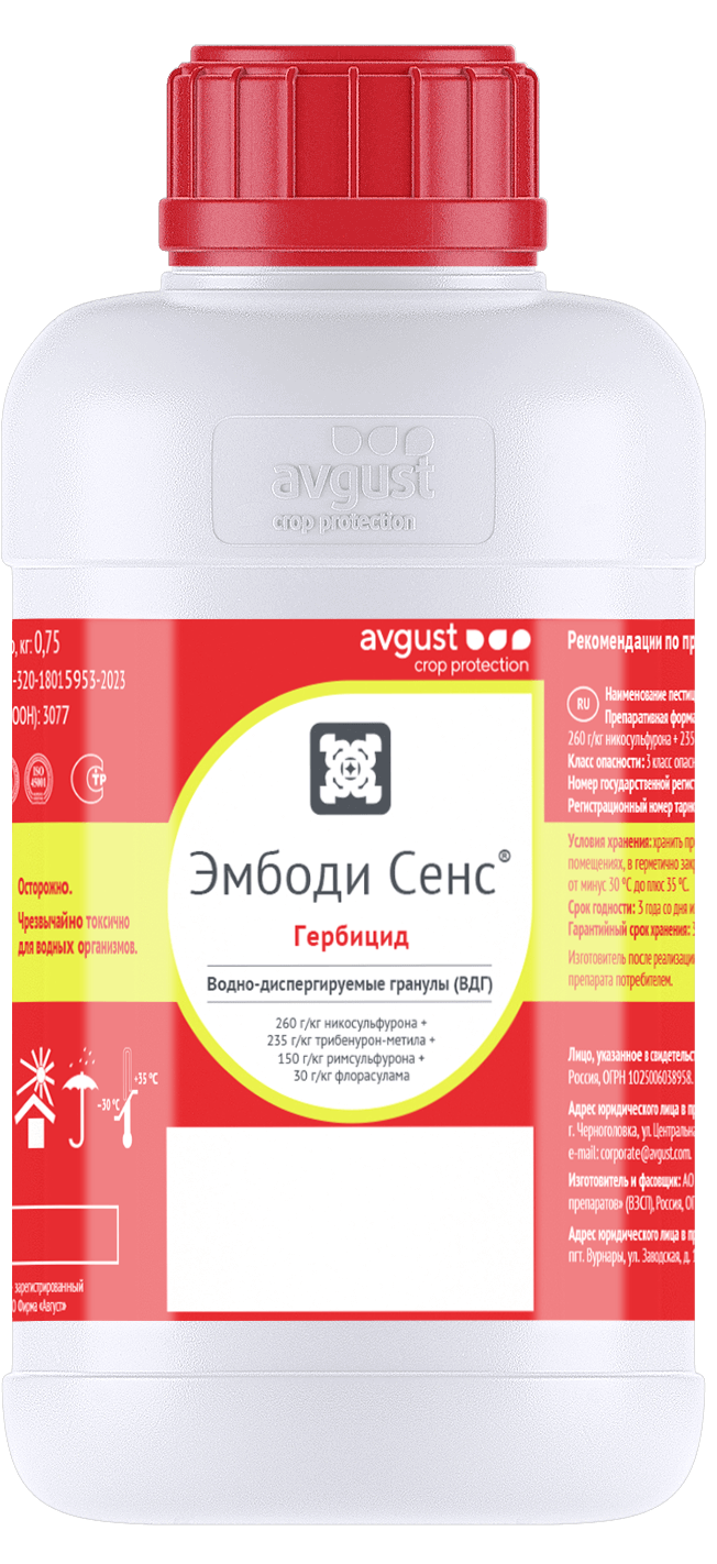 Эмбоди Сенс