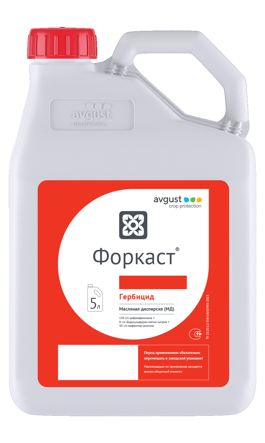 Форкаст