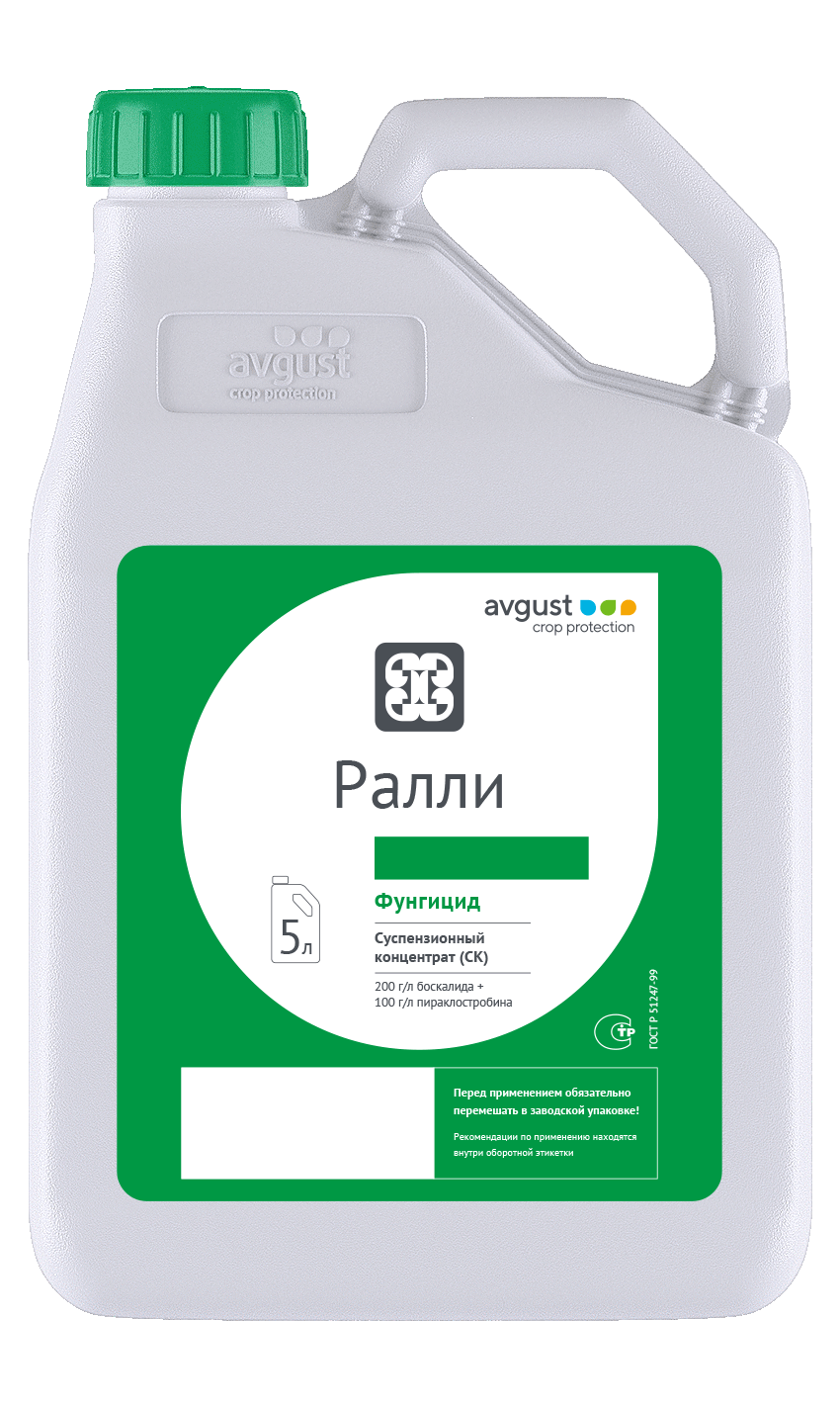 Ралли