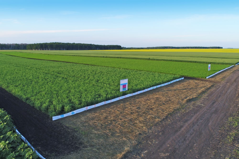 Agri Project