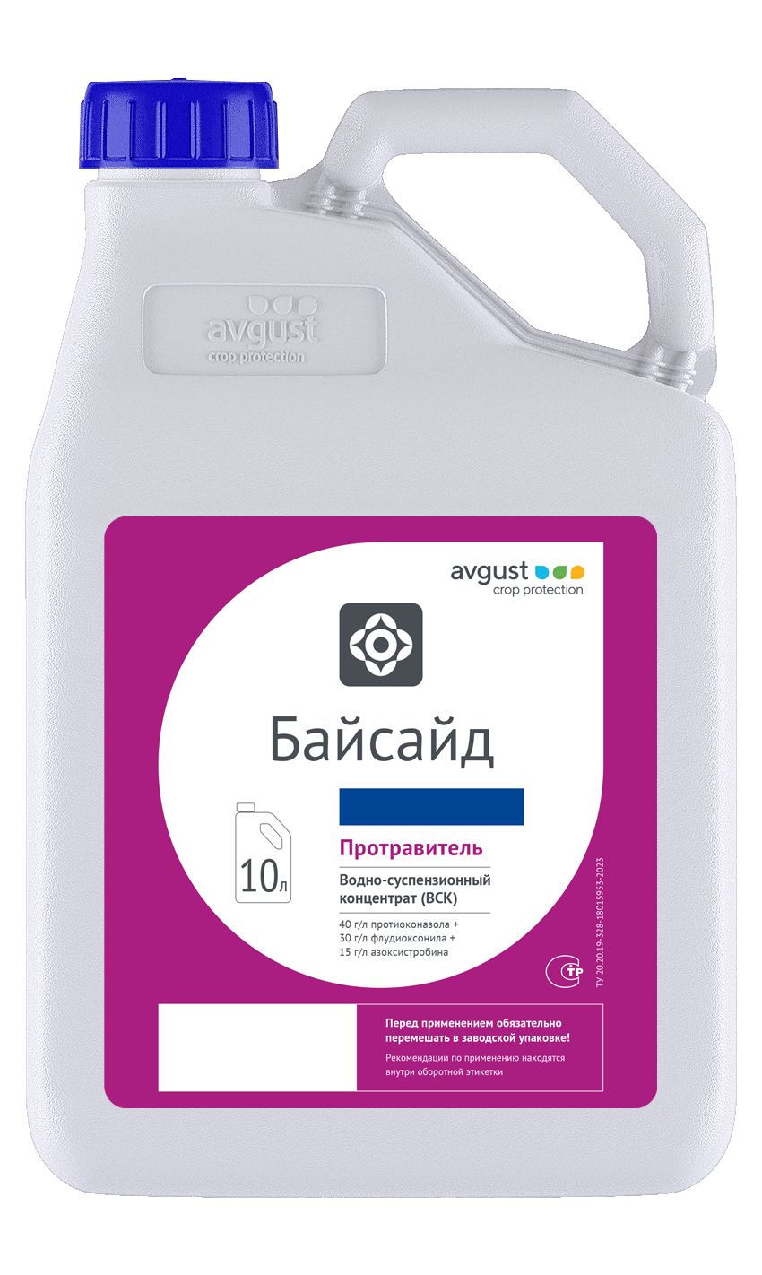 Байсайд