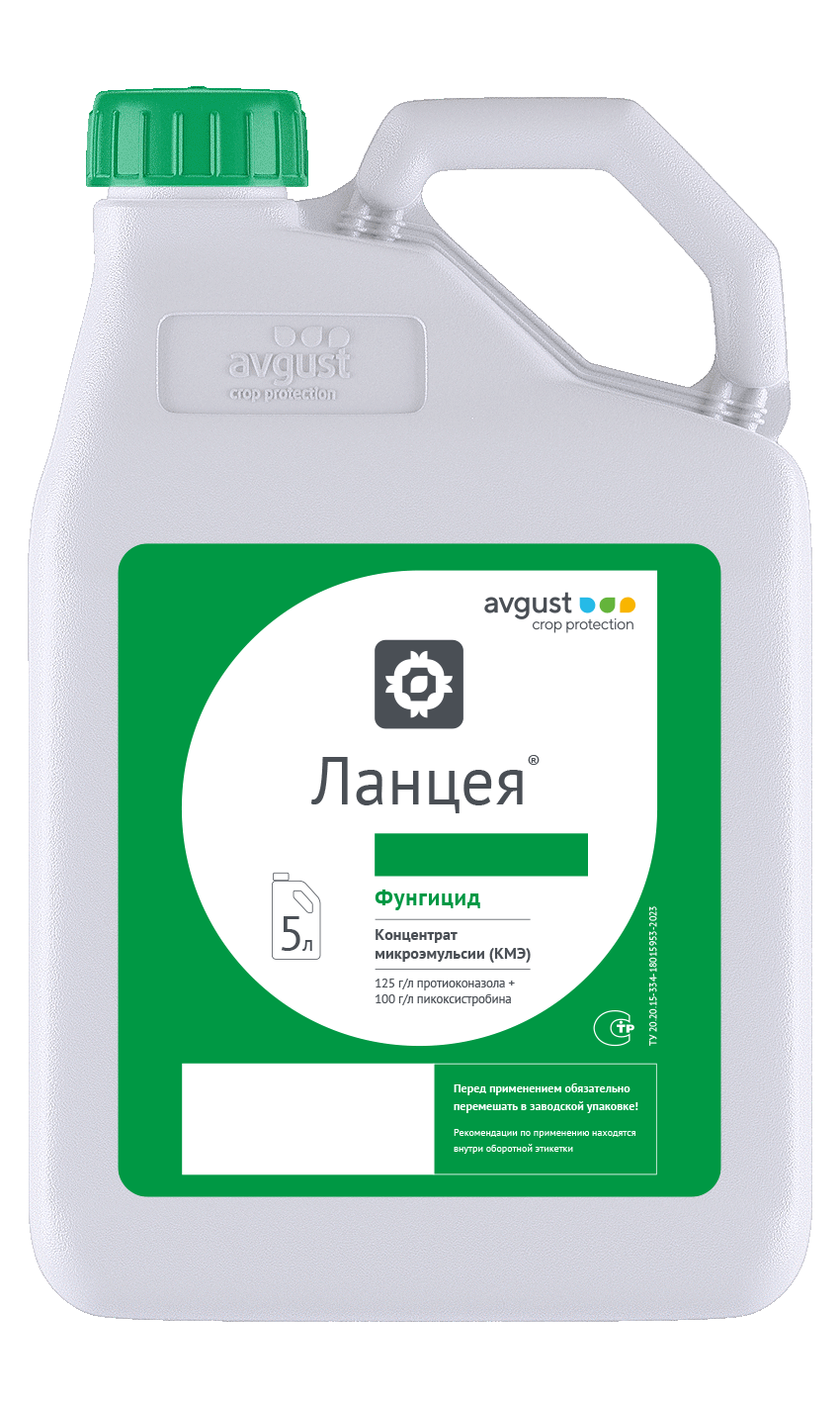 Ланцея